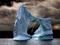 Wild Bight iceberg east
